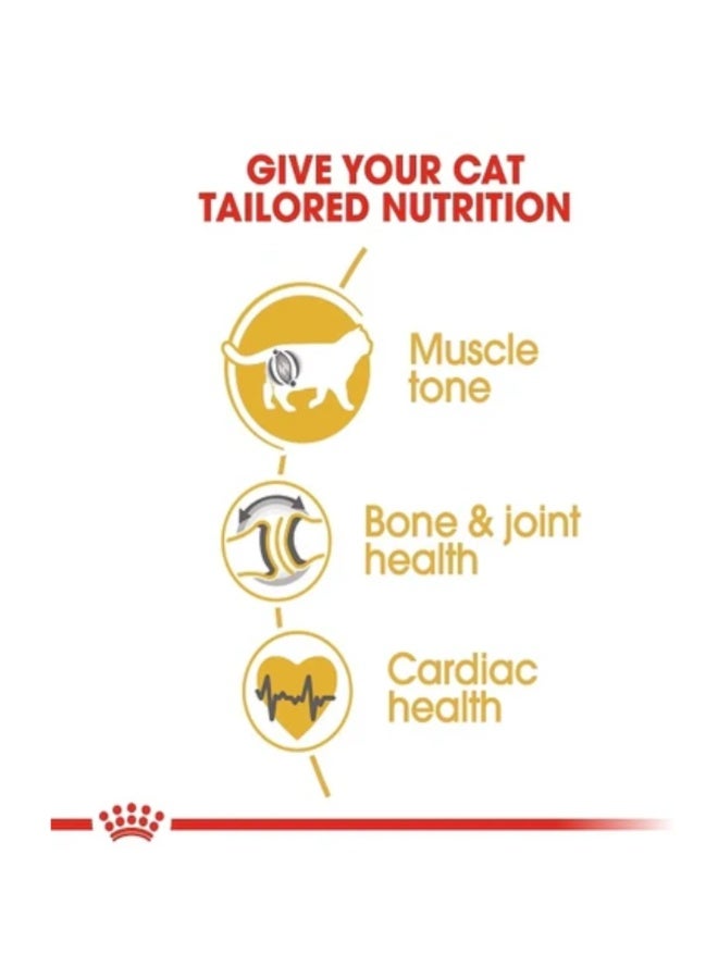 رويال كانين طعام جاف للقطط البالغة من سلالة بريتش شورت هير - 4 كجم - Image 4